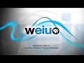 WEIU Charleston IL Logo 2016 Present