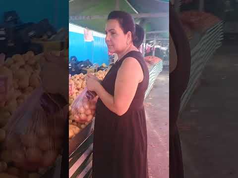 Planalto Imperatriz zona norte São Paulo que tem de tudo