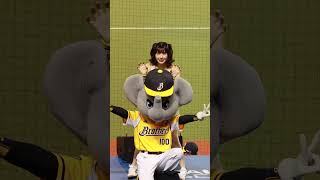 20250302日本火腿交流賽 峮峮の江坤宇應援 #峮峮 #passionsisters #cheerleader #台湾チア