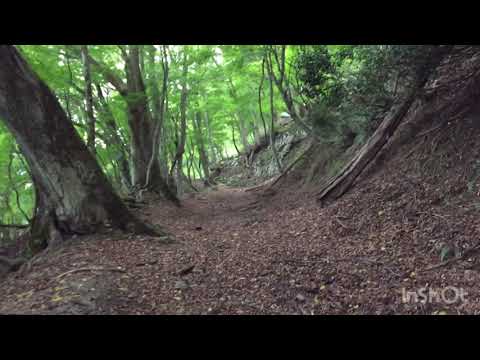 Antiguo Hokkoku Kaido 1002 imajo▶︎yunotoge