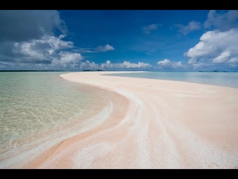Paradiso In Terra... Tikehau, Rangiroa (Polinesia Francese) 2025