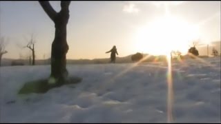 川本真琴 feat. TIGER FAKE FUR/アイラブユー（Official Music Video）