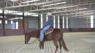 Teaching a horse to want to stay in the spin