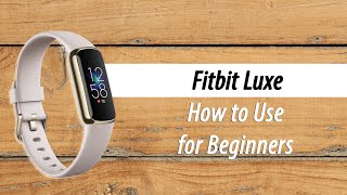 How to Use the Fitbit Luxe for Beginners