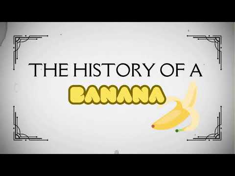 The Fascinating History of Bananas: From Wild Origins to Cavendish Success Story