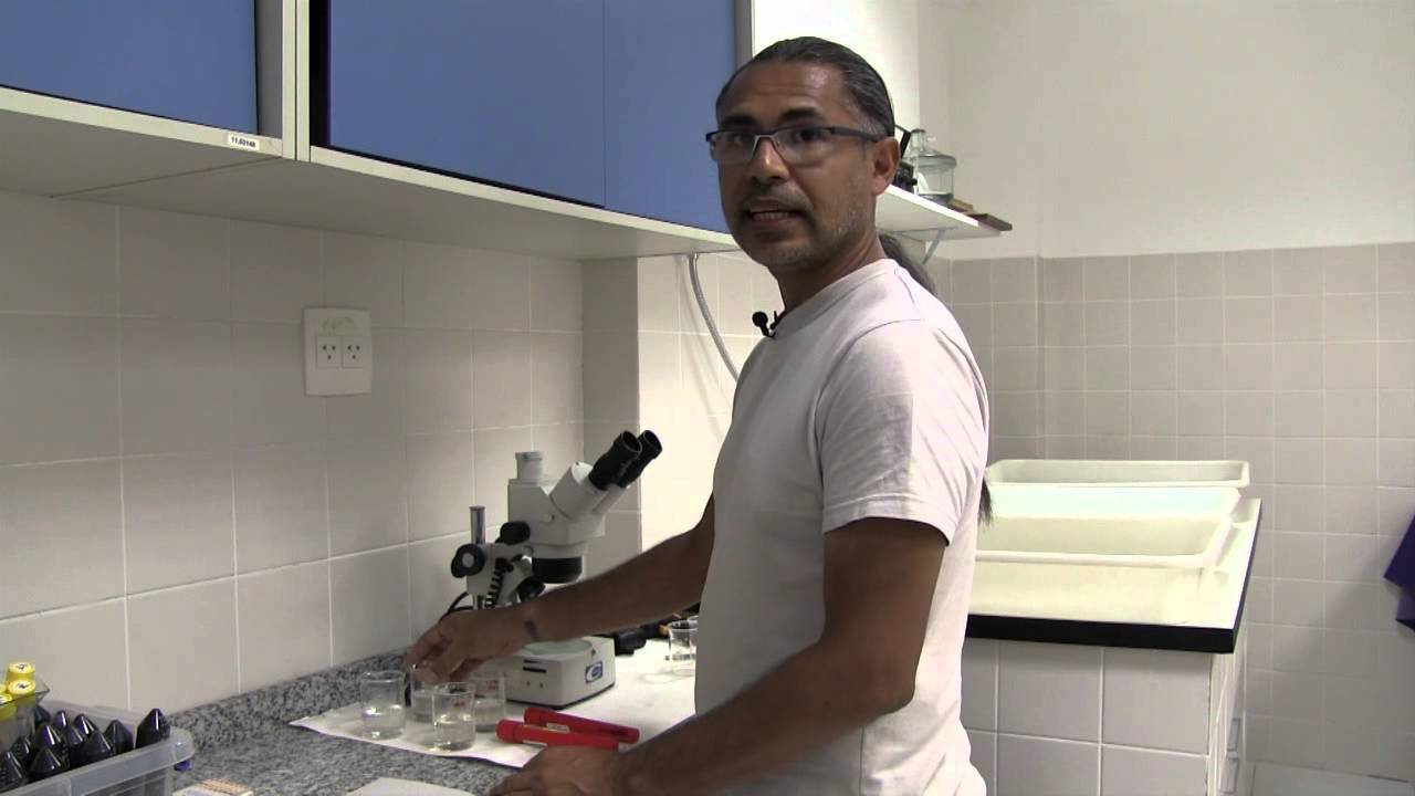 Preservação de Documentos no MAST - Parte 2