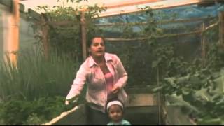 preview picture of video 'Proyecto de Seguridad Alimentaria y Buenas Prácticas Agrícolas en Antioquia'