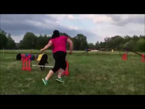 Agility trénink //15. 6. 2018//