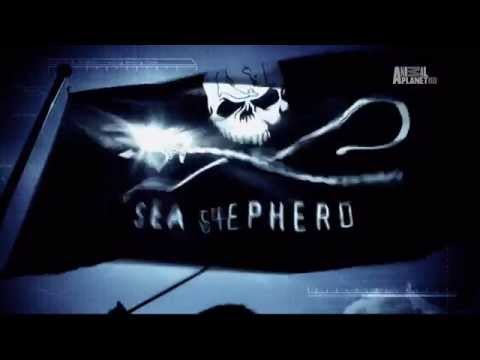 Animal Planet – Whale Wars (Theme Song)