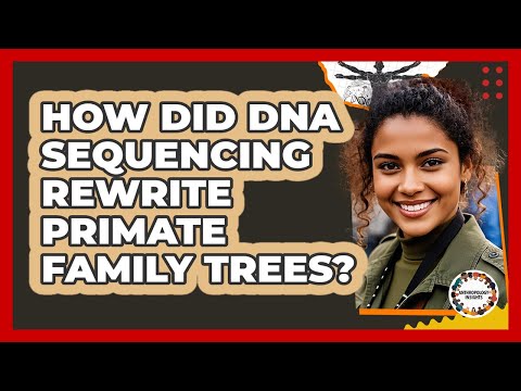How Did DNA Sequencing Rewrite Primate Family Trees? - Anthropology Insights