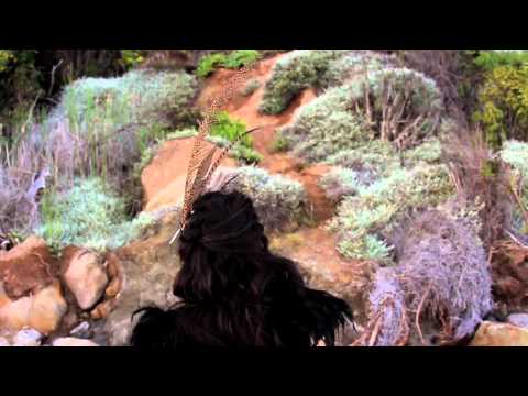 Bestial Mouths - Gulls (2011) | IMVDb