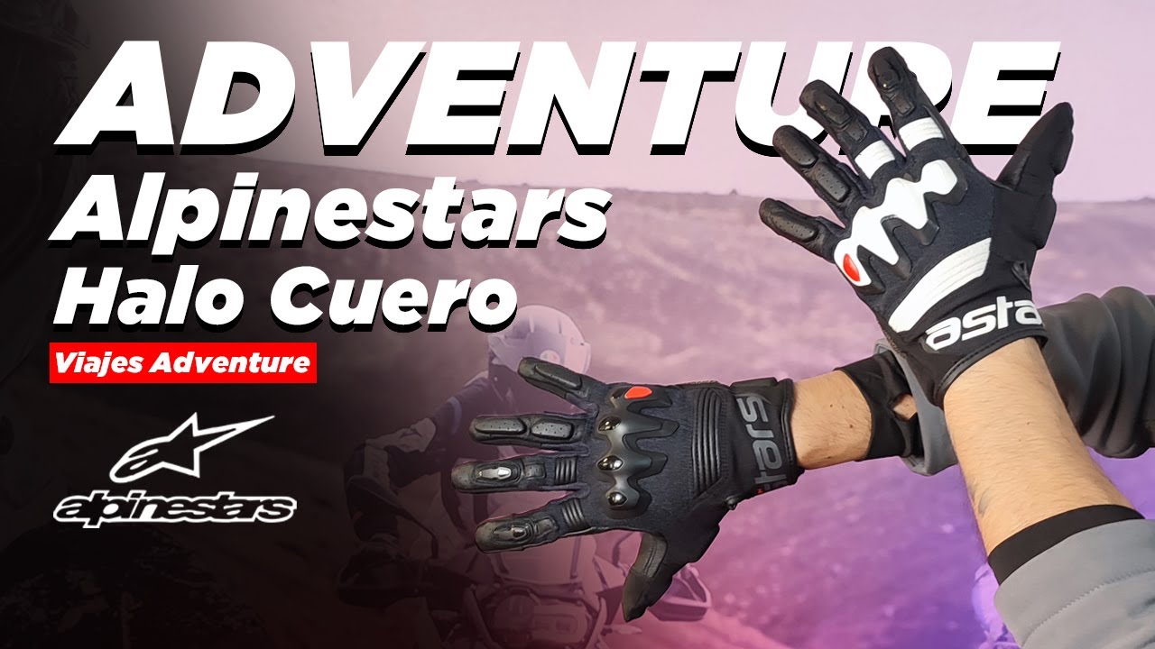 Alpinestars Guante de Cuero Halo
