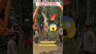 Download lagu ⚠️‼️ penangkapan buaya raksasa 😱 #shoct #shorts mp3