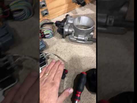 Testing LS1 FBW pedal wiring