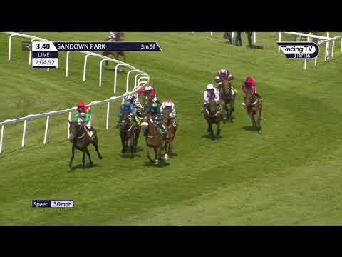 The closing stages of the Bet365 Whitbred Gold Cup at Sandown.