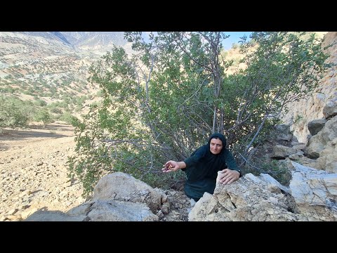 Exciting travel story; Fariba's breathtaking search for the mountain🧗