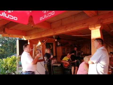 Alfi Nipič, Branko Novak, Siniša Čeh in Robert Pinter -  Ostal bom muzikant