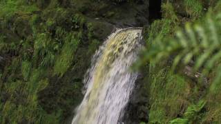 preview picture of video 'Waterfalls in Wales - Pistyll Rhaeadr a Druid Learning Centre'