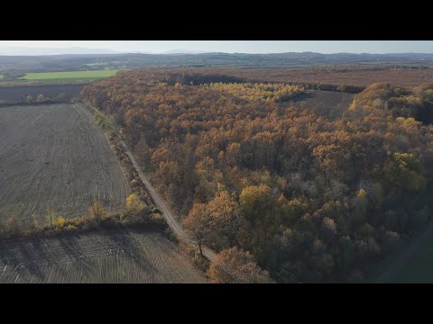 Starom cestom u Gornje Viljevo, XI. - 2020.  video