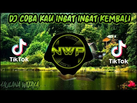 DJ COBA KAU INGAT INGAT KEMBALI REMIX TIK TOK FULL BASS