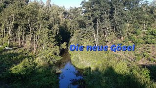 Die neue Gösel