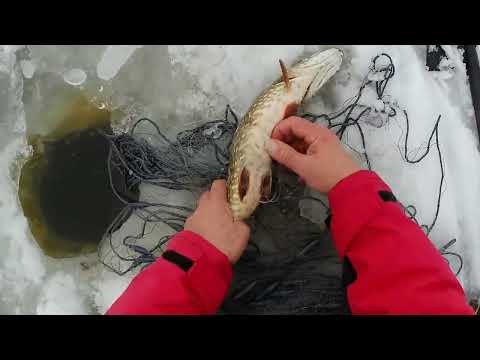 Talvipyynnin lopetus 14 4 2025