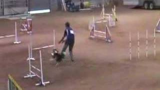 buggy bug bug isc jww