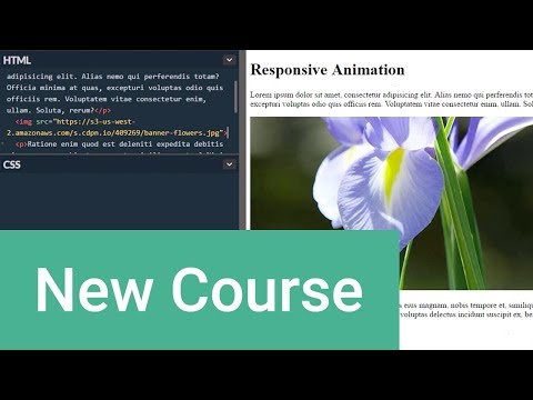 HTML CSS for Beginners FREE MEGA COURSE 7 Hours