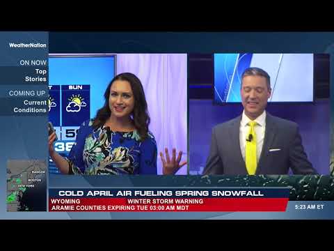 Meredith Garofalo informing + animating a work of art