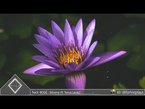 BODÉ - Missing (ft. Tanya Lacey)