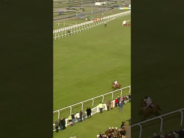 Thumbnail for Post ID: spgnh8uCV7Q