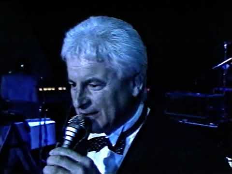 Mandy von den Bambis - Nur ein Bild von dir