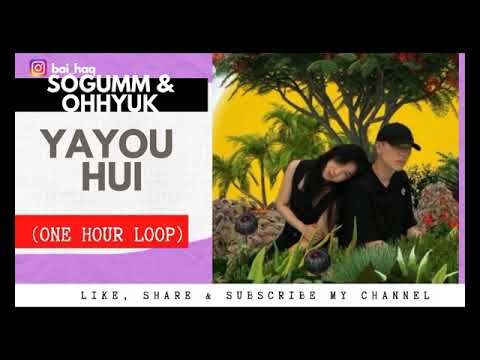 [ 1 HOUR LOOP ] sogumm (소금), 오혁 (OHHYUK) - '야유회 (yayou hoi)'