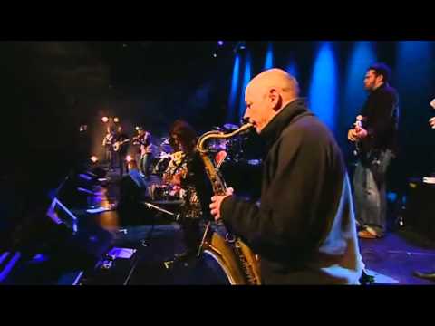 Sharon Shannon - Neckbelly