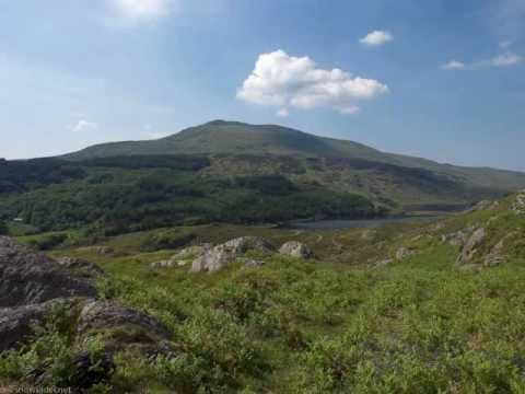 My Little Welsh Home