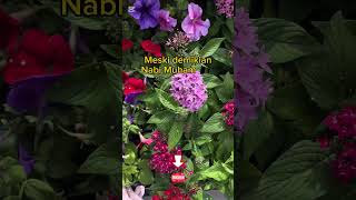 Download lagu Pengemis Buta Ini Menangis❗❗#shorts #quotes #ceritaislami #storymuslimah mp3 Download lagu Pengemis Buta Ini Menangis❗❗#shorts #quotes #ceritaislami #storymuslimah mp3