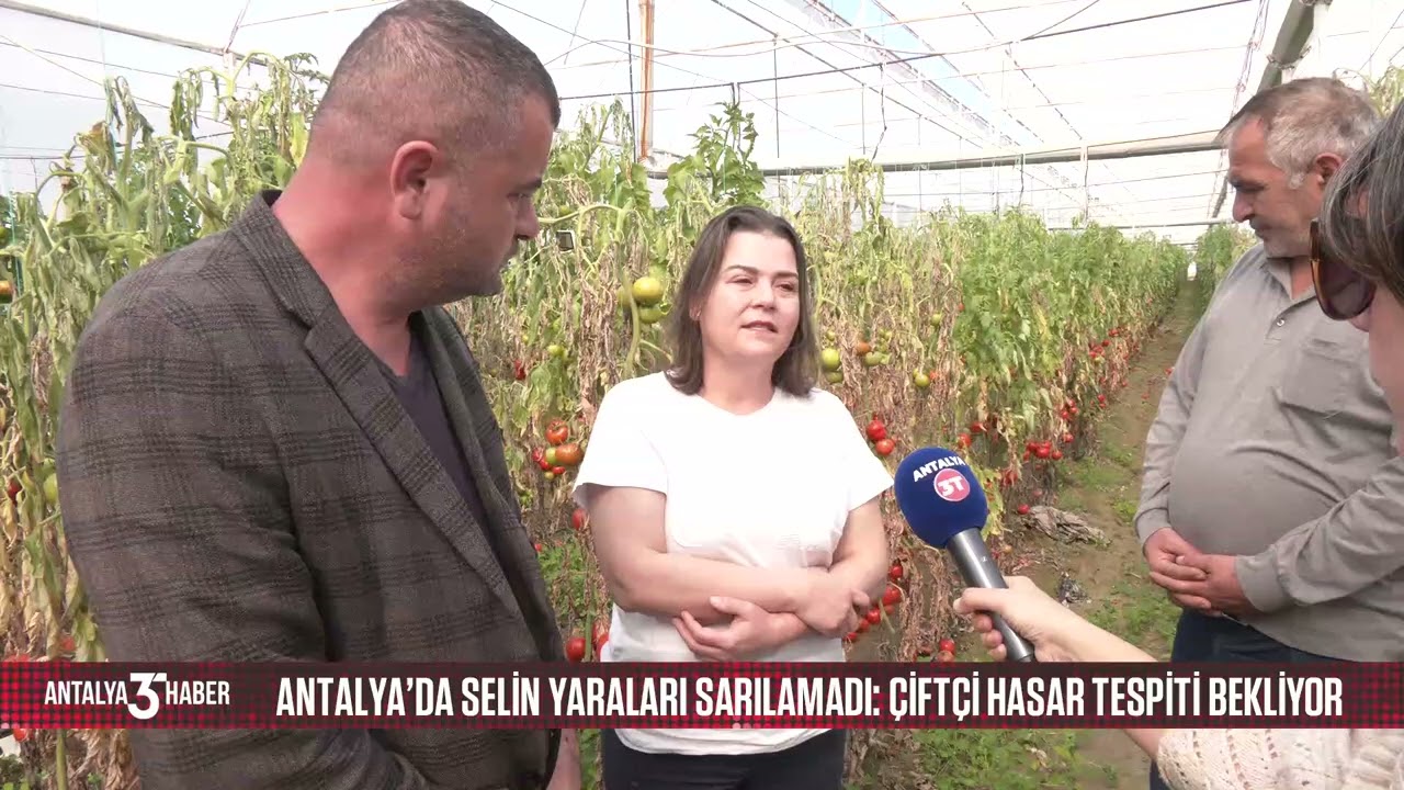 Antalya’da selin yaraları sarılamadı: Çiftçi hasar tespiti bekliyor