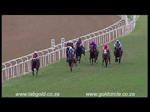 20181104 Greyville express clip Race 7 won by MONTE CHRISTO