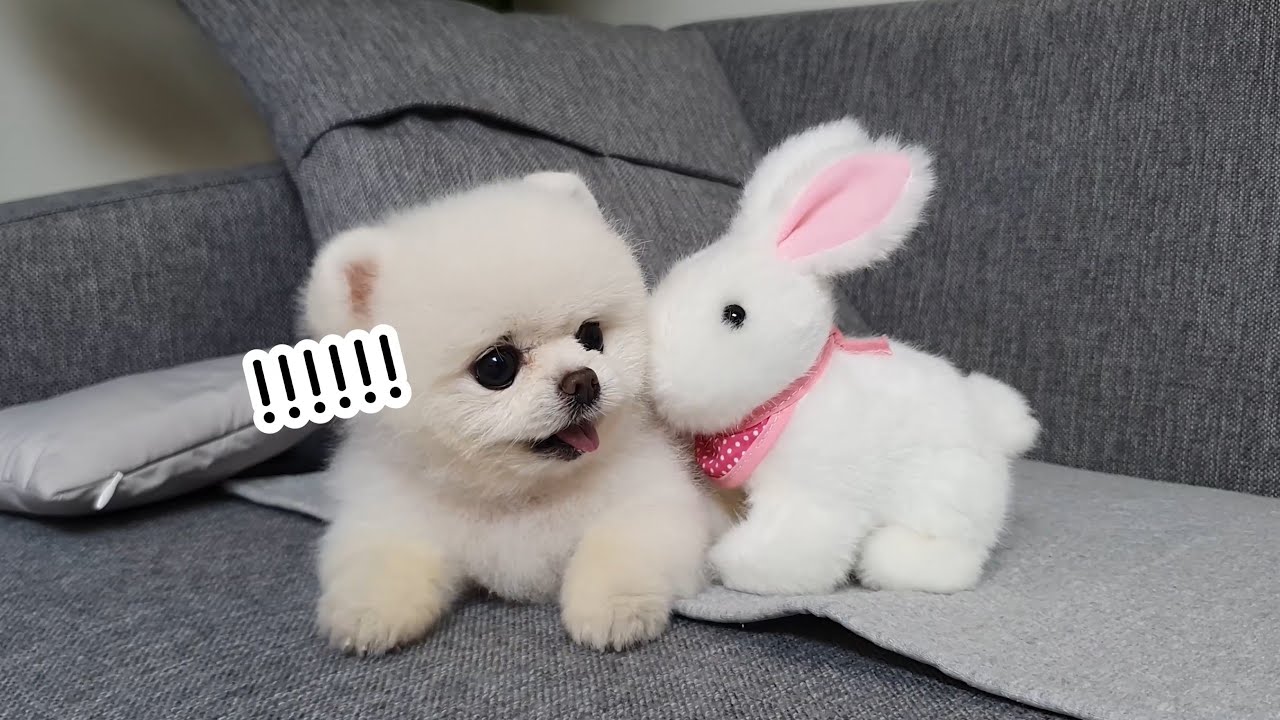 object-cover transition-all