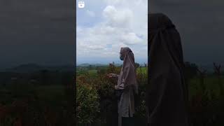 Download lagu Kisah Cinta Sayyidah Khadijah mp3 Download lagu Kisah Cinta Sayyidah Khadijah mp3