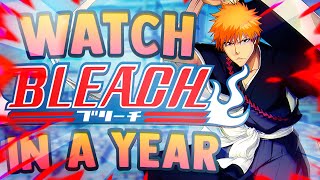 How to Watch Bleach and Skip Fillers in LESS THAN AN YEAR!