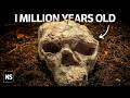 Humans May Be Far Older Than We Thought