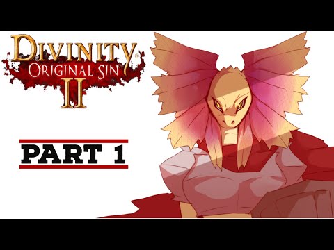 A WONDEROUS ADVENTURE BEGINS | Divinity: Original Sin II - Part 1
