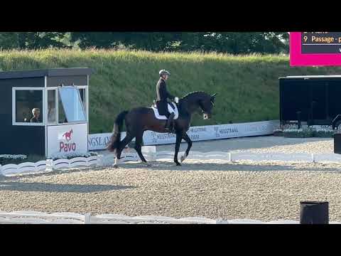 Jovian & Andreas Helgstrand, Danish national Championships 2023 Grand Prix 77,720%