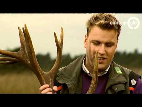 Bronstjournaal 24 september 2013