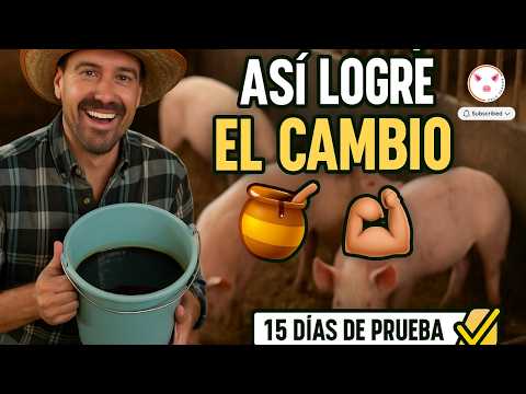 🕵️‍♂️ I tried molasses on my pigs for 15 days and look what happened 🐖💥