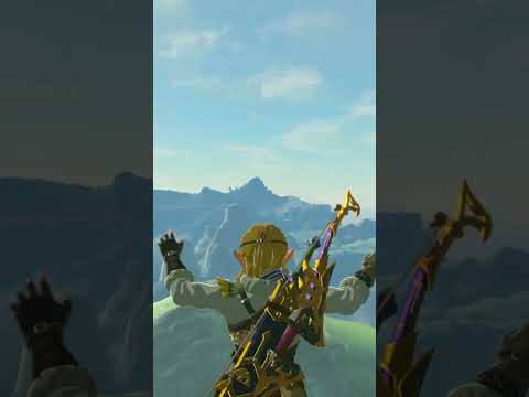 10 WAYS TO MAKE SHIELD IN ZELDA BOTW #shorts