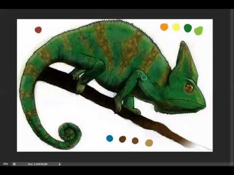 Chameleon Painting - PM