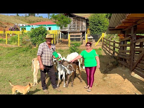 THEY LIVE IN A CHARMING PLACE AT THE FOOT OF THE MANTIQUEIRA MOUNTAIN RANGE