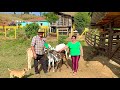 ELES VIVEM NUM SÍTIO ENCANTADOR NO PÉ DA SERRA DA MANTIQUEIRA